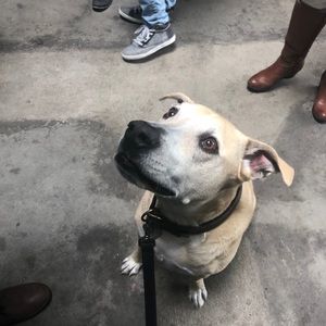 Meet your Posher, Patrick